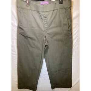 Gloria Vanderbilt Women's Cotton Knit Pull on Pants Stretch Fabric Green Size 14